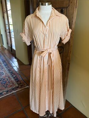 Striped Button-Front Shirt Dress in straw/white